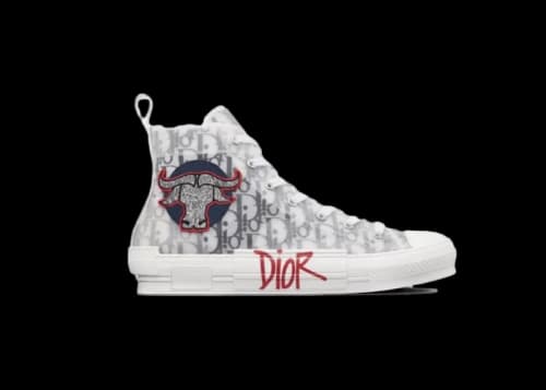 Dior And Shawn B23 High