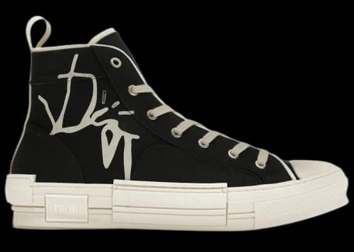 Dior B23 CACTUS JACK Black