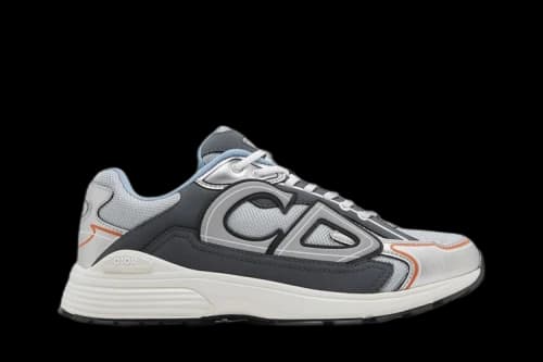 Dior B30 'Reflective CD30 - Grey Silver'