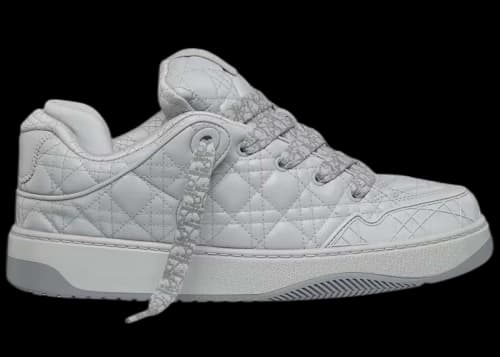 Dior B9S Skater Dior Gray (Numbered)