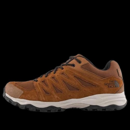 THE NORTH FACE Truckee Hiking Shoes 'Brown'