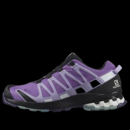 Salomon XA Pro 3D V8 Gore-Tex (Women's)