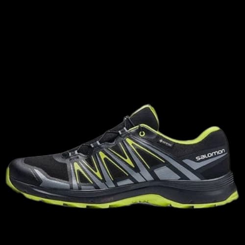 Salomon XA Sierra GTX