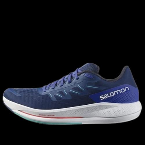 Salomon Spectur