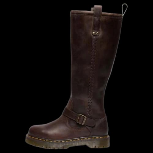 Dr.Martens Anistone buckle-strap boots Women's