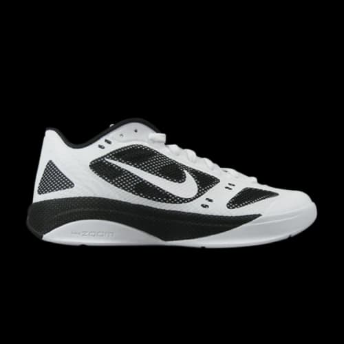 Nike Zoom Hyperfuse 2011 Low TB