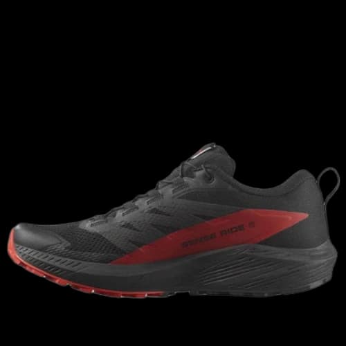 SALOMON Sense Ride 5 'Lily Pad' (Women's)