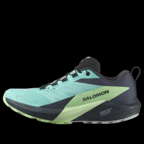 SALOMON Sense Ride 5 GTX 'Blue Radiance' (Women's)