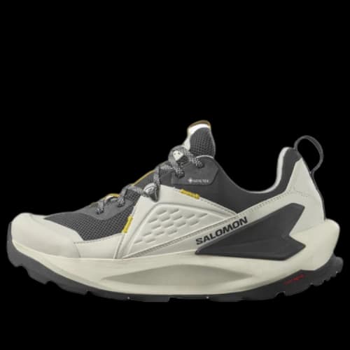 Salomon Elixir GTX 'Vanilla Ice Phantom'