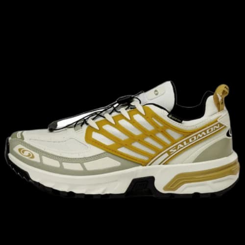 SALOMON ACS Pro Gore-Tex 'Cicle Antelope'