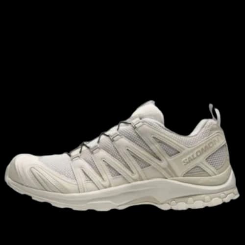 SALOMON Xa Pro 3D 'Rainy Day Oxford Tan'