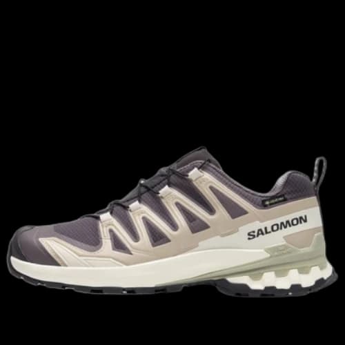 Salomon XA Pro 3D V9 GTX 'Dark Grey Beige'