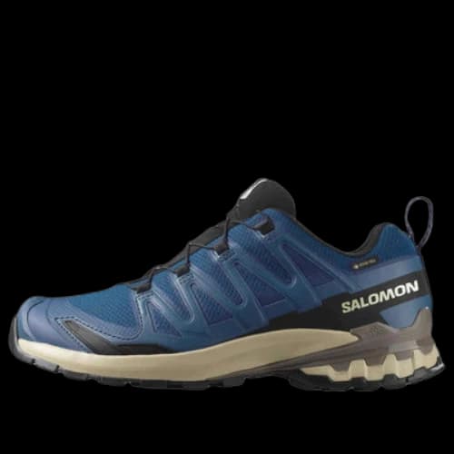 SALOMON XA PRO 3D V9 GTX 'Blue'