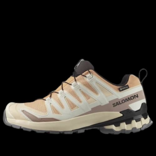 SALOMON XA Pro 3D V9 GTX 'Hazelnut Tender Peach Black'