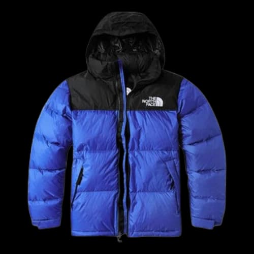 THE NORTH FACE 1996 Nuptse 700