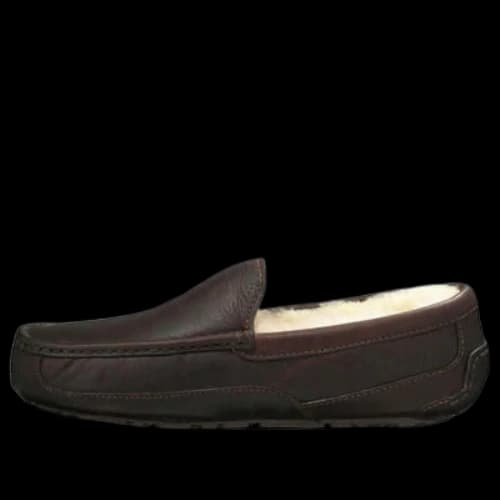 UGG Ascot Leather Slipper 'Brown'