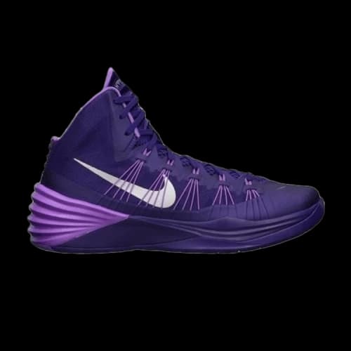 Nike Zoom Hyperdunk 2013 TB 'Dark Purple'