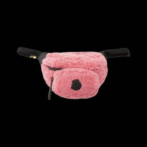 Moncler Felicie Belt Bag 'Pink'