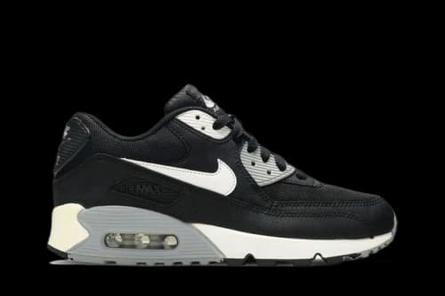 Nike Air Max 90 Essential 'Black Wolf Grey' (Women's)