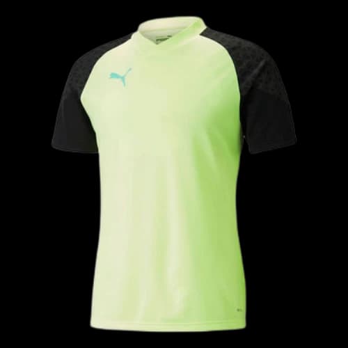 PUMA Individualcup Training Jersey 'Green Black'