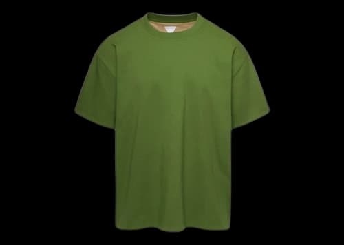 Bottega Veneta Double Layered Cotton Jersey Relaxed Fit T-shirt Jalapeno/Sesame