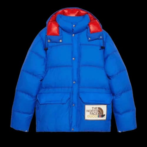 Gucci x The North Face Down Jacket 'Blue'