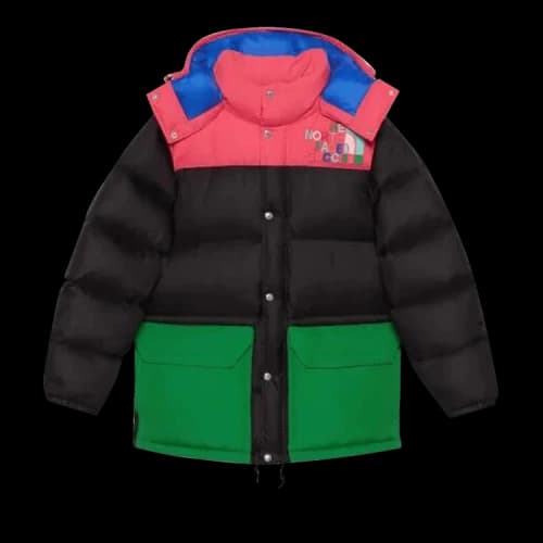 Gucci x The North Face Down Jacket 'Black/Multicolor'