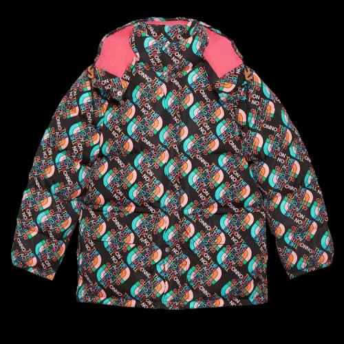Gucci x The North Face Down Jacket 'Multicolor/Black'