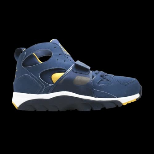 Nike Air Trainer Huarache