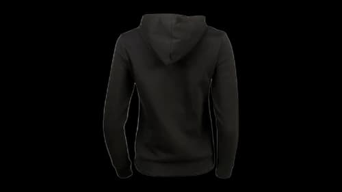 Puma Women's Emblem Pull On Hoodie Black