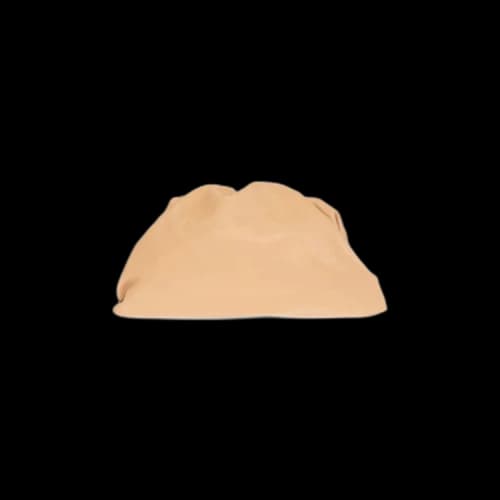 Bottega Veneta The Pouch Bag 'Almond/Gold'