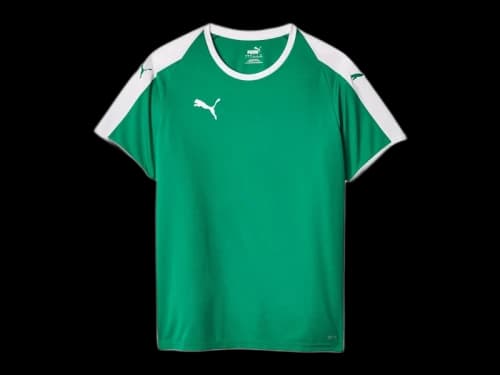 Puma Liga Jersey Green