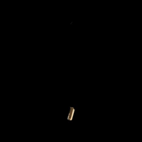 Saint Laurent Lighter Holder Necklace 'Dore'