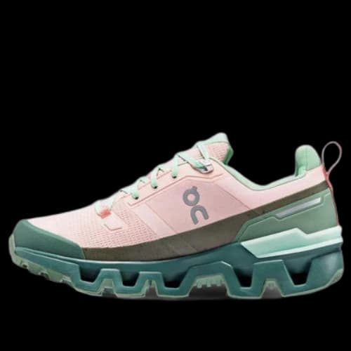 On Running Cloudwander Waterproof 'Doe Ivy' (Women's)