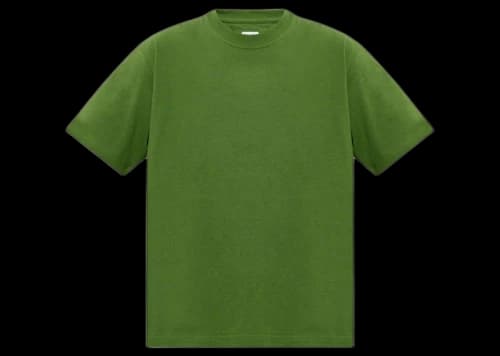 Bottega Veneta Sunrise T-Shirt Green
