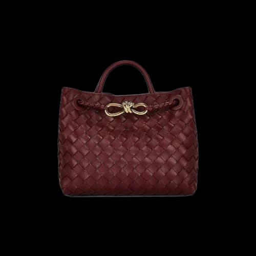 Bottega Veneta Small Andiamo Bag 'Barolo'