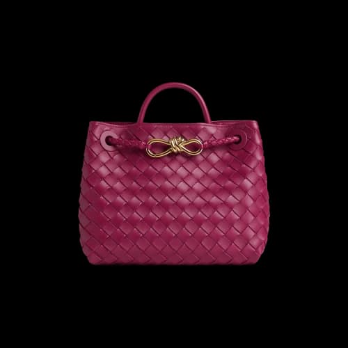Bottega Veneta Small Andiamo 'Cinnabar'