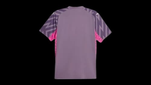 Puma MCFC GK V Neck Short Sleeve Soccer Replica Jersey Purple Charcoal/Ravish