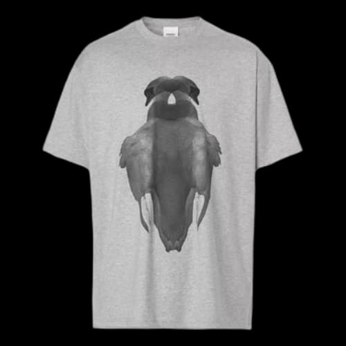Burberry Printing Cotton Short Sleeve Gray