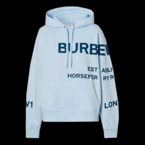 Burberry SS21 Horseferry Printing Pattern Hoodie Light Blue (Women's)