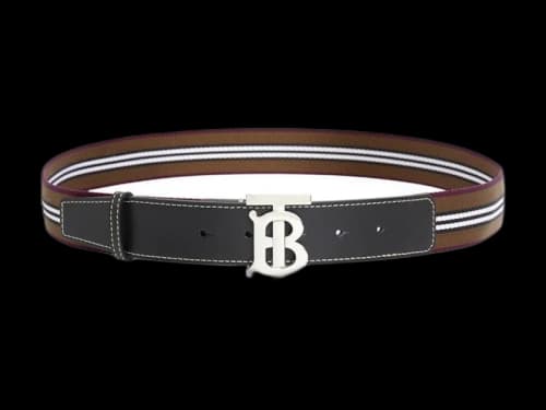 Burberry Icon Stripe Webbing Belt Dark Birch Brown/Silver