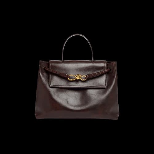 Bottega Veneta Borsa 'Dark Mahogany'