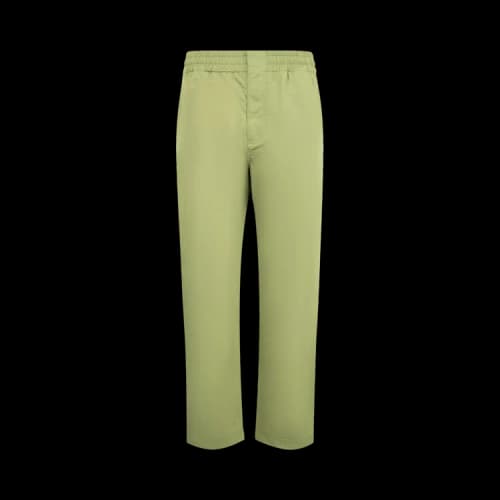 Bottega Veneta Tech Nylon Pants 'Pale Green'