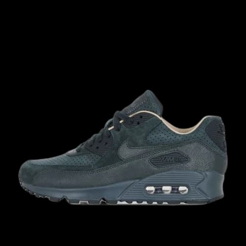 Nike Air Max 90 Pinnacle (Women's)
