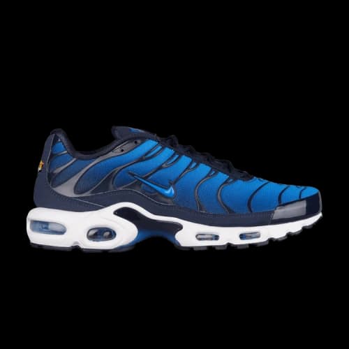 Nike Air Max Plus TN 'Obsidian'