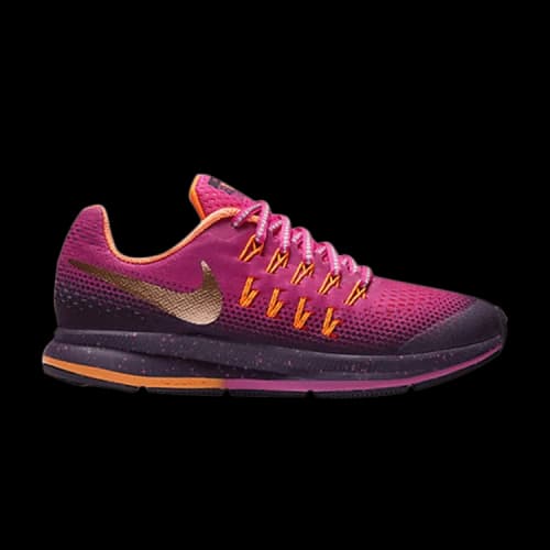 Nike Air Zoom Pegasus 33 Shield GS