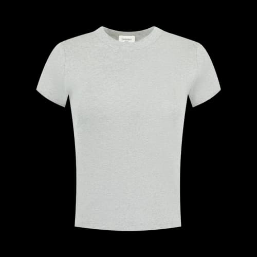 Saint Laurent T-Shirt Manches Courtes Fitte 'Gris Chine'
