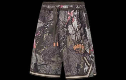 Li-Ning BadFive Logo Basketball Shorts 'Multi-Color'