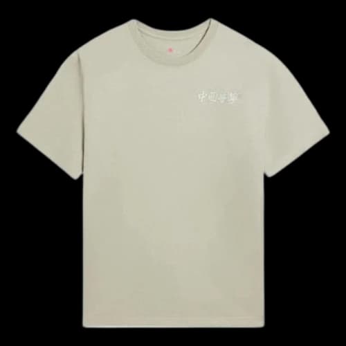 Li-Ning Embroidery Logo T-shirt 'Pale Moss Green'