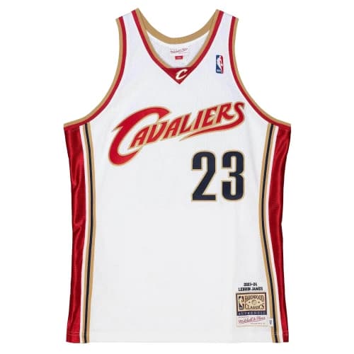 Mitchell & Ness NBA Authentic Jersey 'Cleveland Cavaliers - LeBron James2003/04'